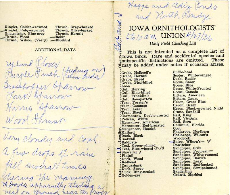 Daily field checking list of birds observed in Boone County by Walter Rosene and Bob Walker, April 27, 1936. Also notes a Purple Finch feeding on elm buds and the Mourning Doves starting a nest on the ground near the river.