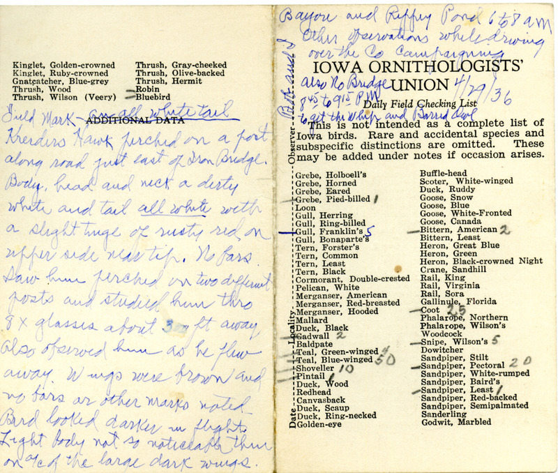 Daily field checking list of birds observed in Boone County by Walter Rosene and Bob Walker, April 29, 1936. Also notes a detailed description and observation of a Krider's Hawk (Red-tailed Hawk).