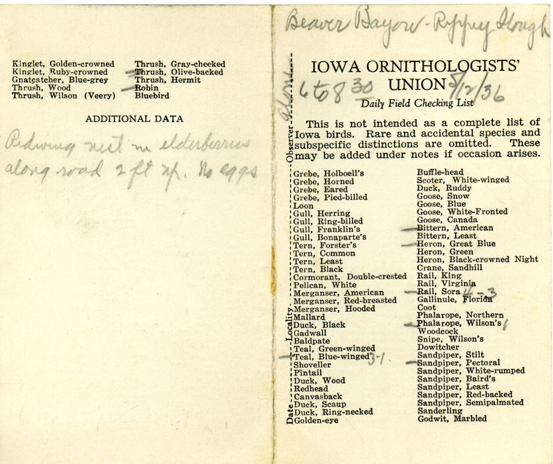 Bird checklist dated May 12, 1936. This checklist was used by Walter Rosene to record birds sighted around Beaver Bayou and Rippey Slough between 6:00 and 8:30.