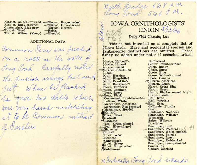 Bird checklist dated May 13, 1936. This checklist was used by Walter Rosene to record birds sighted around North Bridge between 6:00 and 8:00, and Long Pond between 5:00 and 6:00.