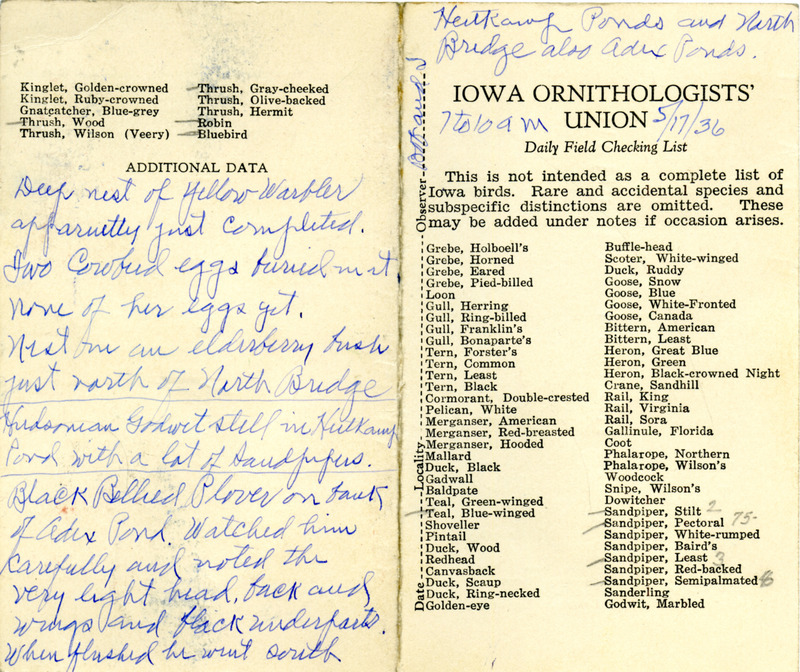 Bird checklist dated May 17, 1936. This checklist was used by Walter Rosene to record birds sighted around Heitkamp Ponds, North Bridge, and Adex Ponds between 7:00 and 9:00.