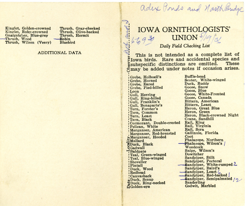 Bird checklist dated May 19, 1936. This checklist was used by Walter Rosene to record birds sighted around Adex Ponds and North Bridge between 6:00 and 9:30.