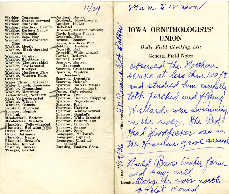 Bird checklist dated November 29, 1936. This checklist was used by Walter Rosene to record birds sighted north of Pilot Mound with Bob Walker between 8:30 and 12:00.