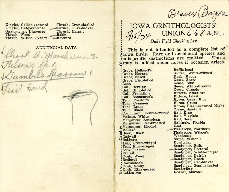 Bird checklist dated May 15, 1934. This checklist was used by Walter Rosene to record birds sighted around Beaver Bayou between 6:00 and 8:00.