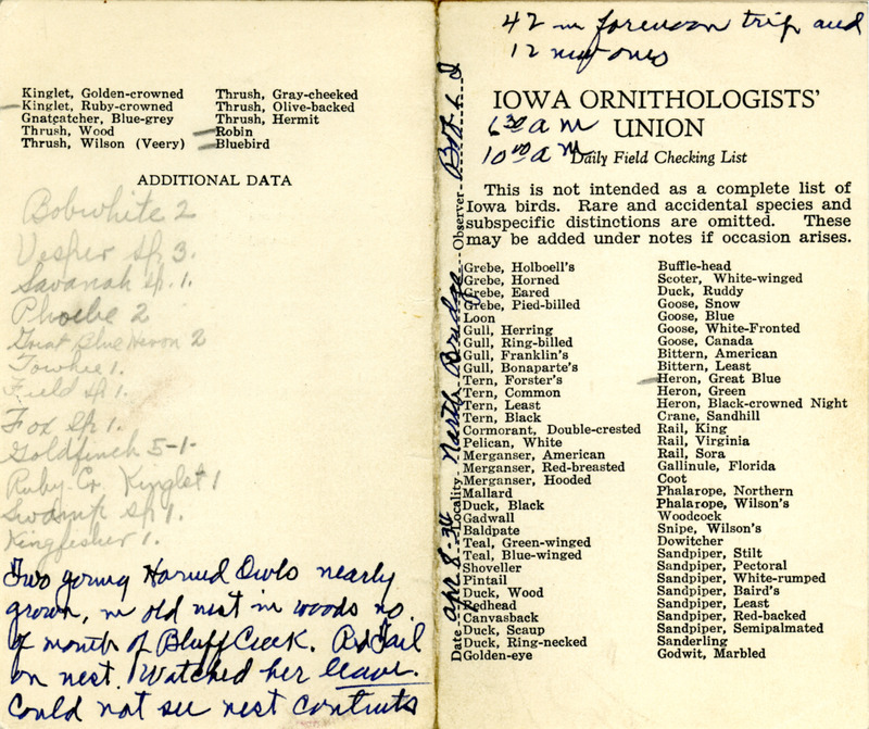 Bird checklist dated April 8, 1934. This checklist was used by Walter Rosene to record birds sighted around North Bridge with Bob Walker between 6:30 and 10:00.