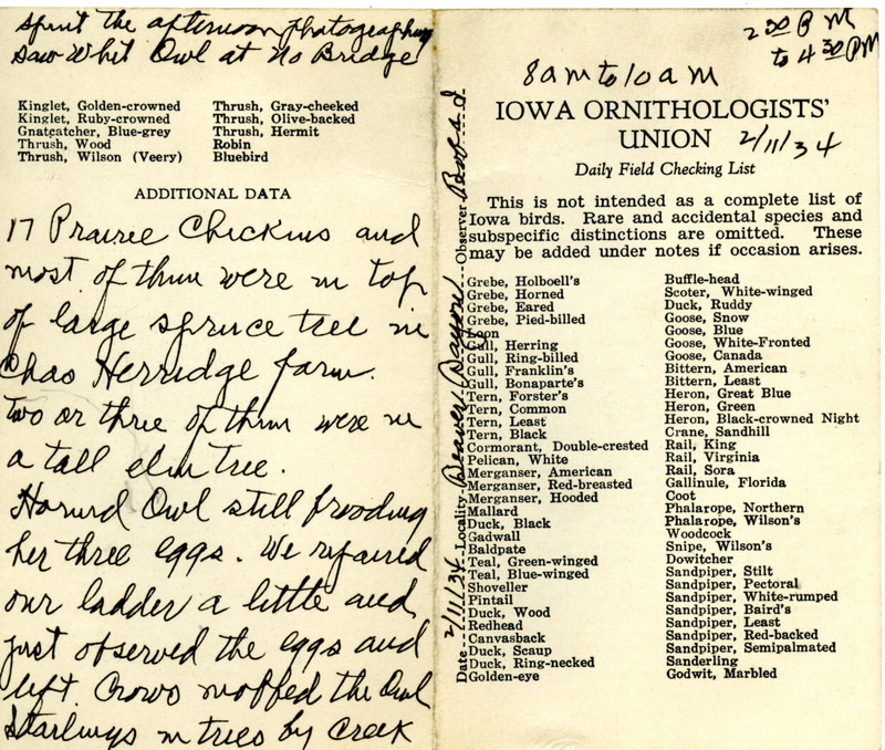 Bird checklist dated February 11, 1934. This checklist was used by Walter Rosene to record birds sighted around Beaver Bayou with Bob Walker between 8:00 and 10:00, and North Bridge between 2:30 and 4:30.