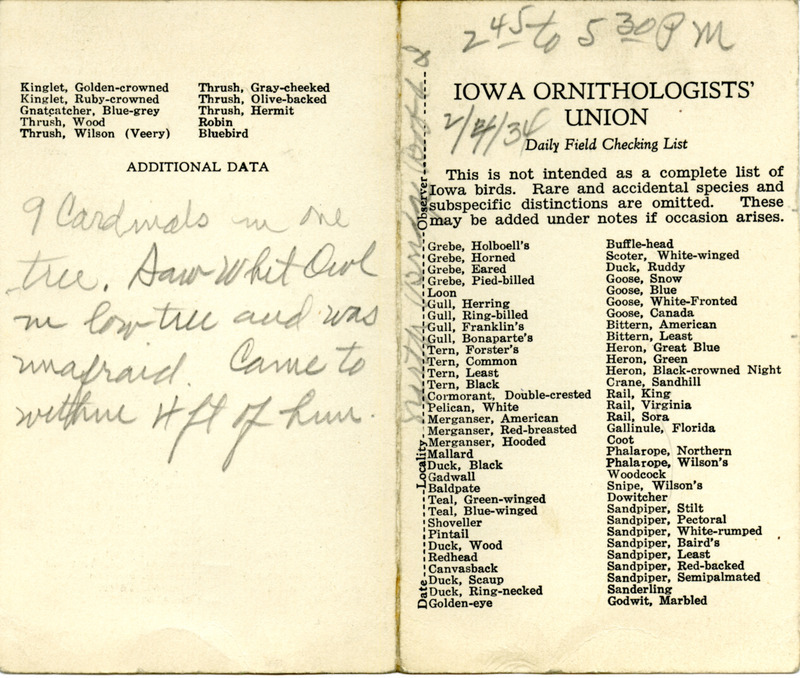 Bird checklist dated February 4, 1934. This checklist was used by Walter Rosene to record birds sighted around North Bridge with Bob Walker between 2:45 and 5:30.