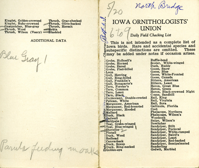 Bird checklist dated May 20, 1933. This checklist was used by Walter Rosene to record birds sighted around North Bridge with Bob Walker between 6:00 and 9:00.