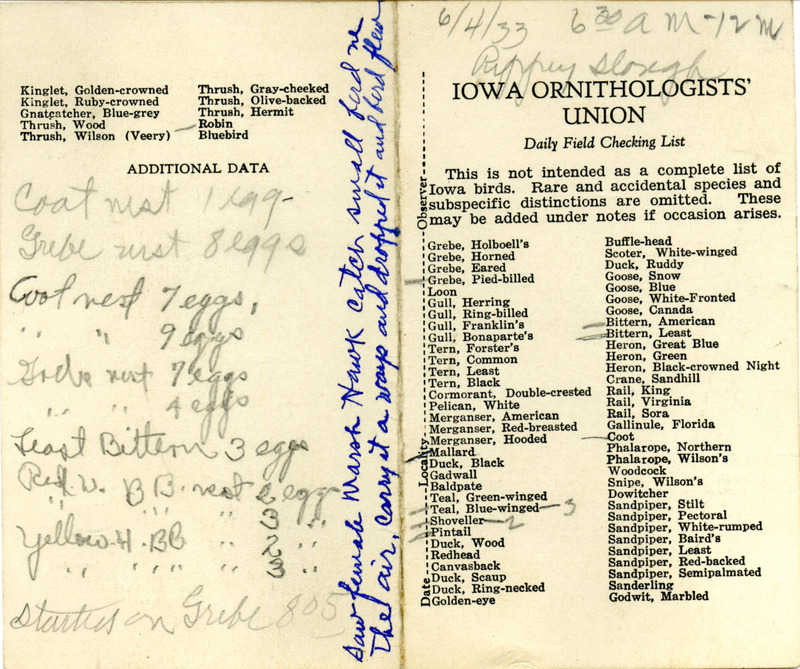 Bird checklist dated June 4, 1933. This checklist was used by Walter Rosene to record birds sighted around Rippey Slough between 6:30 and 12:00.