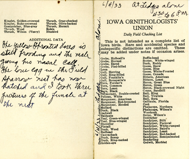 Bird checklist dated June 4, 1933. This checklist was used by Walter Rosene to record birds sighted around the Ledges between 4:30 and 6:00.