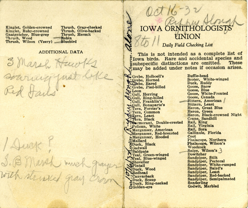 Bird checklist dated October 16, 1932. This checklist was used by Walter Rosene to record birds sighted around Rippey Slough between 8:00 and 11:00.