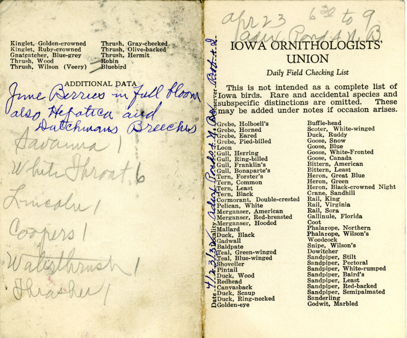 Bird checklist dated April 23, 1932. This checklist was used by Walter Rosene to record birds sighted around Adix Pond and North Bridge with Bob Walker between 6:30 and 9:00.