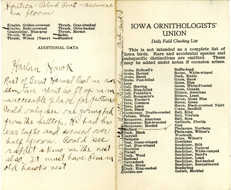 Bird checklist dated April 12, 1931. This checklist was used by Walter Rosene to record birds sighted around North Bridge with Bob Walker.