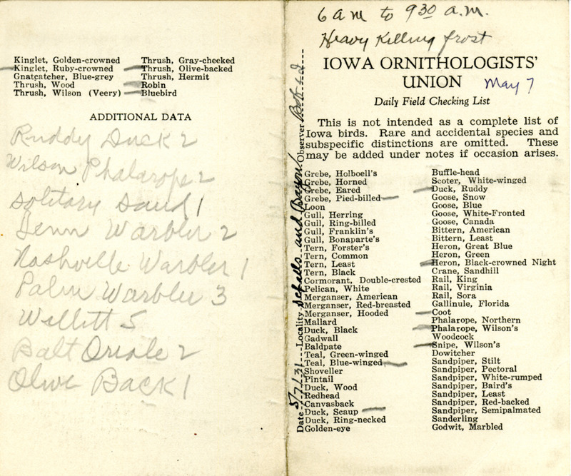 Bird checklist dated May 7, 1931. This checklist was used by Walter Rosene to record birds sighted around Schall Pond and Beaver Bayou with Bob Walker between 6:00 and 9:30.