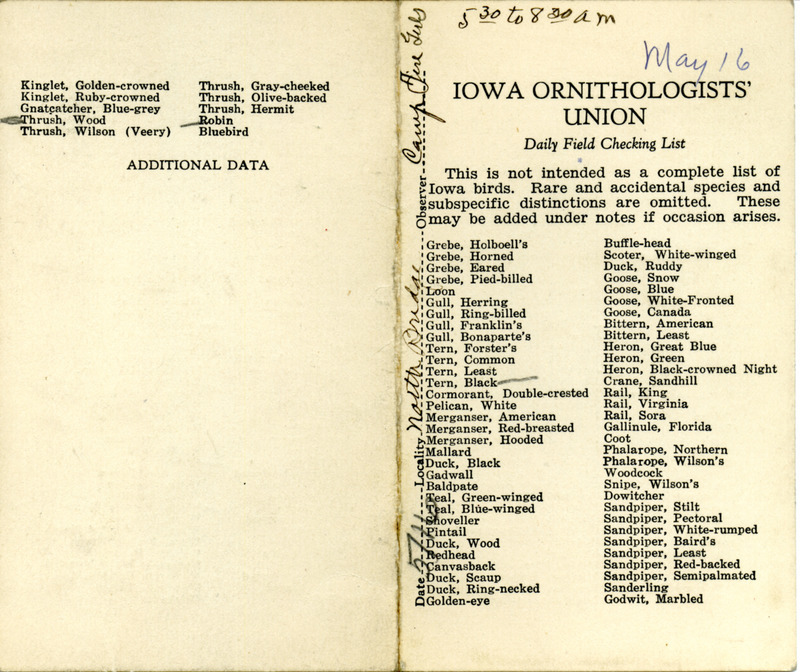 Bird checklist dated May 16, 1931. This checklist was used by Walter Rosene to record birds sighted around North Bridge with a group of Camp Fire Girls between 5:30 and 8:30.