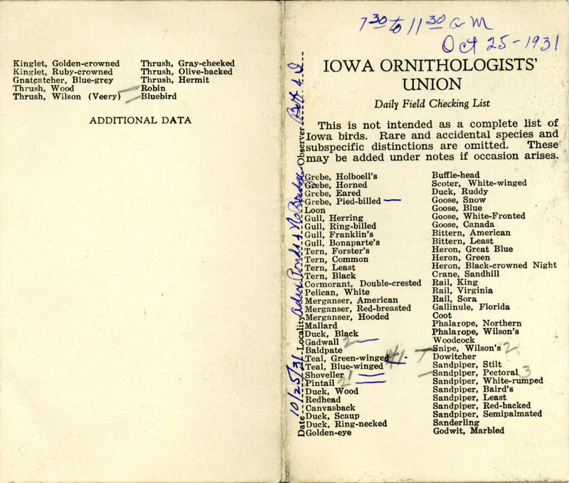 Bird checklist dated October 25, 1931. This checklist was used by Walter Rosene to record birds sighted around Adix Pond and North Bridge with Bob Walker between 7:30 and 11.30.