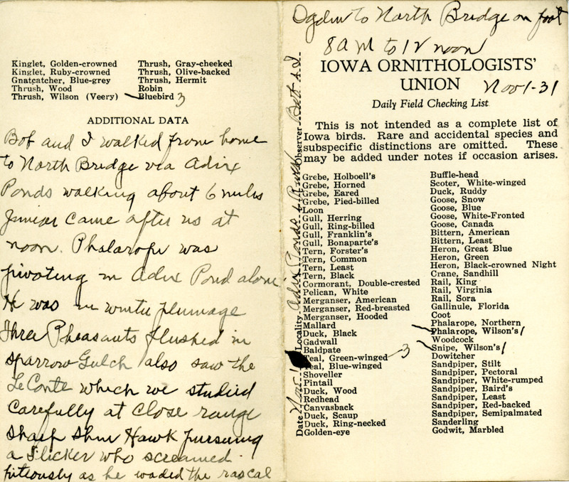 Bird checklist dated November 1, 1931. This checklist was used by Walter Rosene to record birds sighted walking from Ogden to North Bridge with Bob Walker between 8:00 and 12:00.