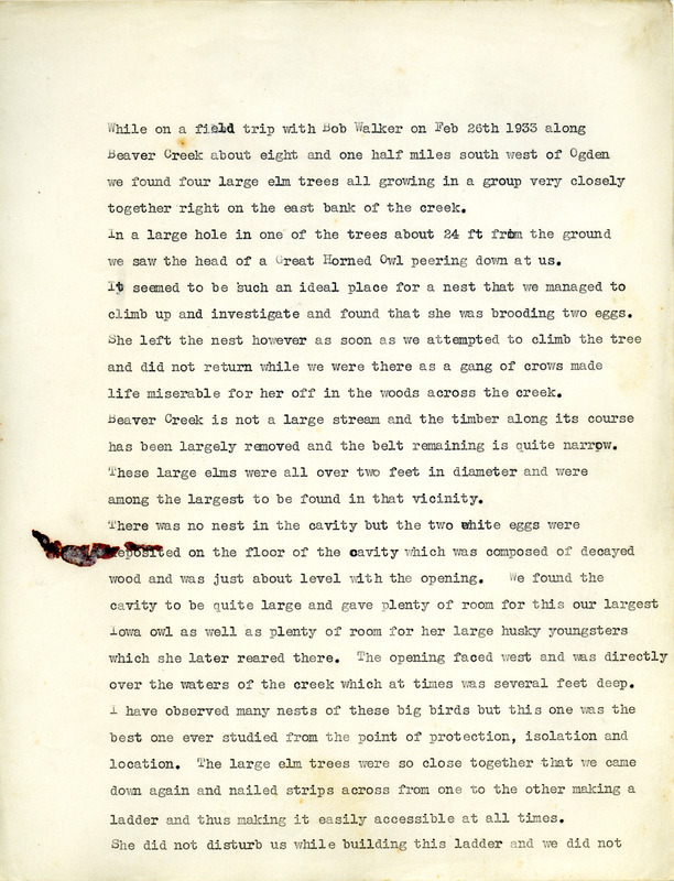 An essay written by Walter Rosene reporting the findings from a study of nesting Great Horned Owls that he and Bob Walker completed over the course of seven years from 1934-1939. Included in the report are the outcomes from the eggs that were laid and brooded each year, the record of the food found in the nest, and the behavior of the owls. In the seven year study of this particular nesting site, six young birds grew to maturity and left the nest, and all of them were banded.