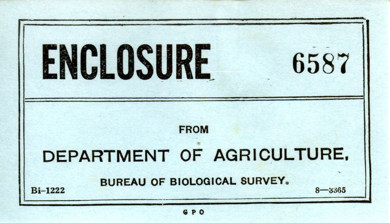 Letter from Clarence Cottam to Walter Rosene regarding the analysis and contents of Long-eared Owl pellets, May 28, 1936. Included in the letter is a report detailing the examination and contents from 25 of the 32 pellets (7 pellets were retained for a future study) collected by Walter Rosene.