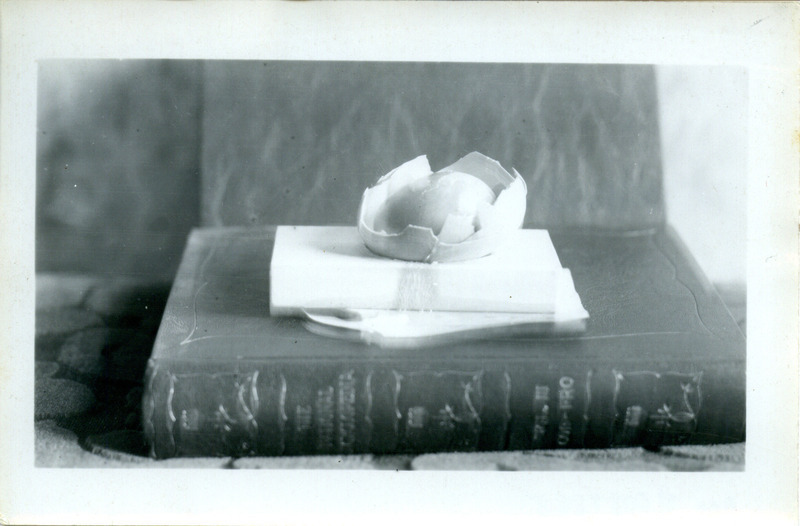 An egg nestled inside of another egg shell that has been cracked open with the top half missing. Photograph originally titled "Egg within an egg."