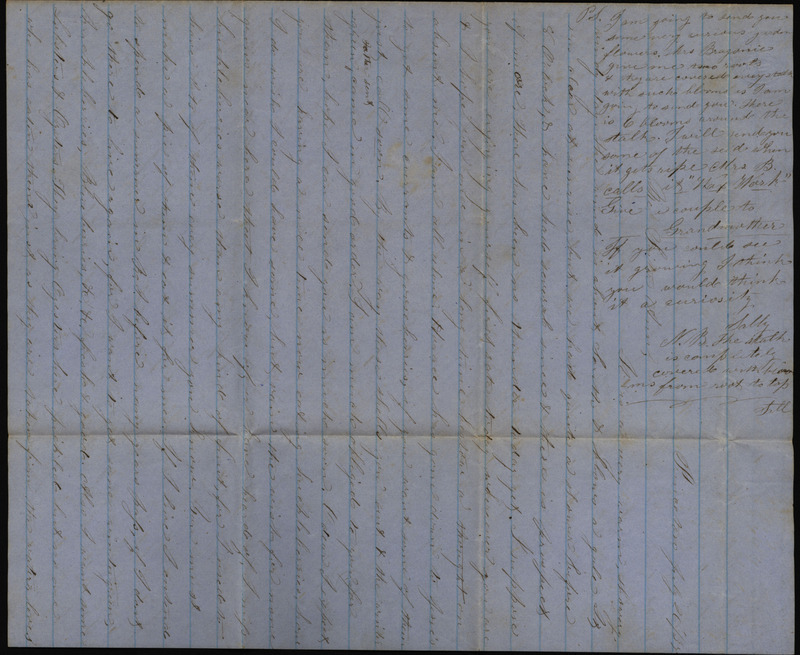 Letter from Sarah Underwood to Ann E. Tefft, Mercy Tefft, and John Tefft, July 26, 1859 regarding missing fresh seafood, a planned rail line, the types of flowers that grow near her home, and how different varieties of corn are faring during the growing season.