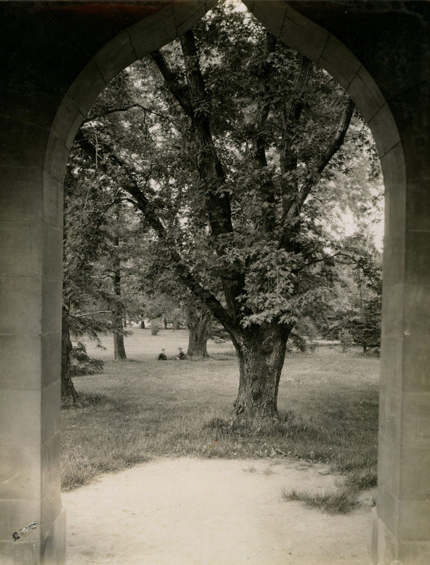 View from inside the Campanile at Iowa State University in 1918.