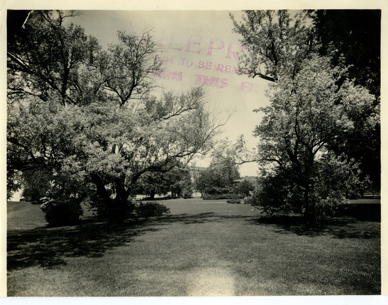 In this view of central campus, buildings are obscured by the trees, July 24, 1924.