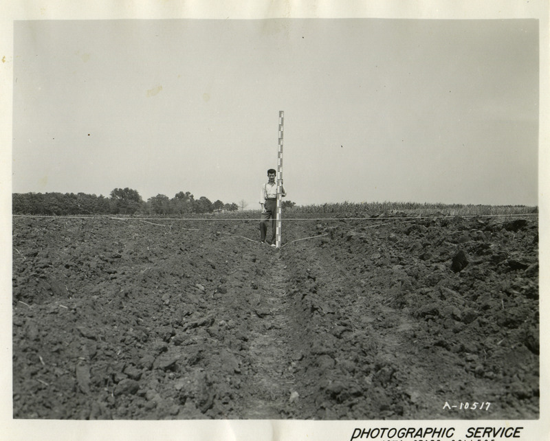 A man is standing in a plowed field measuring the depth of a furrow with a measuring rod. The furrow is considerably lower than the surrounding area.