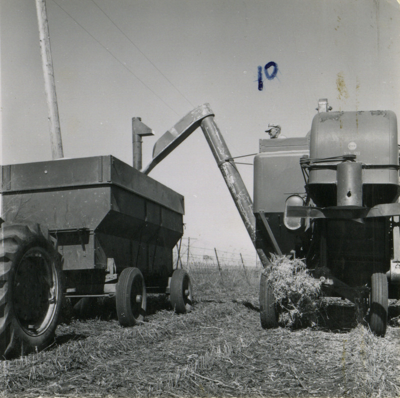 In Washington County, Iowa, a combine unloads crops into a wagon pulled by a tractor, in a rear close-up view.