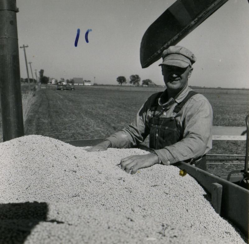 A farmer stands next to the crops deposited in the wagon by the combine, with the Washington County, Iowa farm visible in the background.