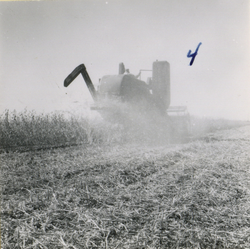 Shown from the right rear, a self-propelled combine takes down crops in Washington County, Iowa, while simultaneously harvesting the grain in a cloud of dust.