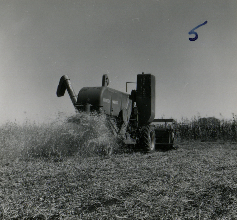 Shown from the right rear, a self-propelled combine harvests crops in Washington County, Iowa, leaving behind shreds of unwanted crop stalks.