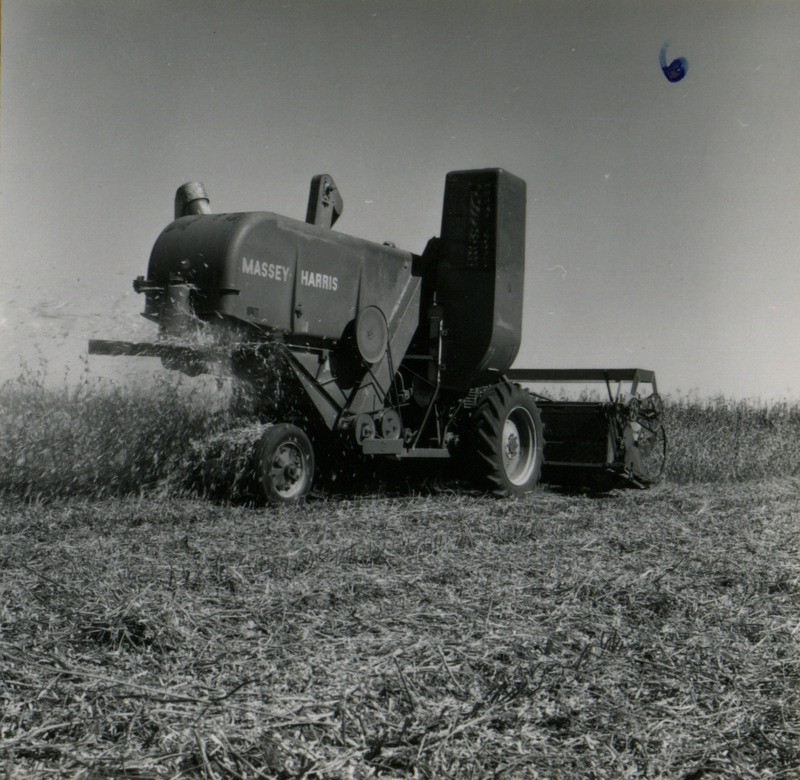 A self-propelled Massey Ferguson combine is viewed from the right side harvesting crops in Washington County, Iowa.