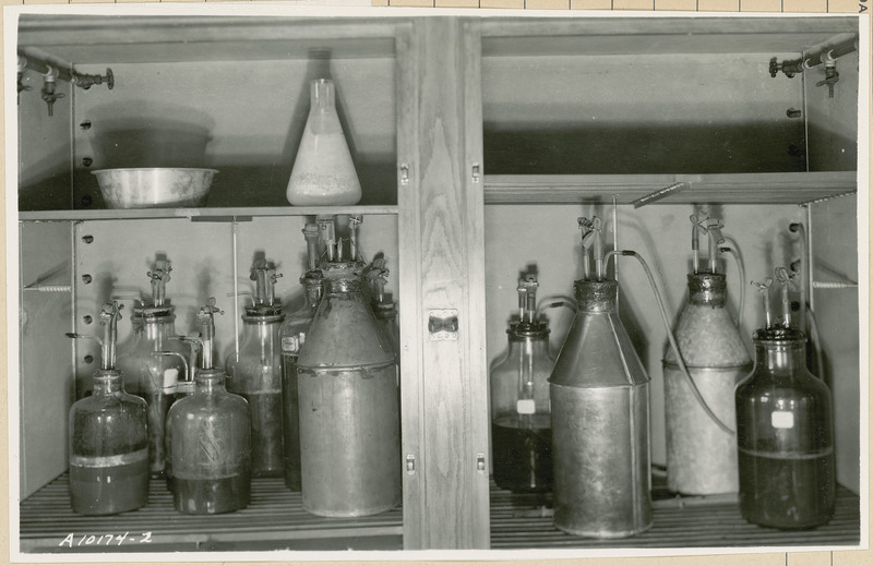 This view inside a cupboard shows bottles and glassware filled with various substances.