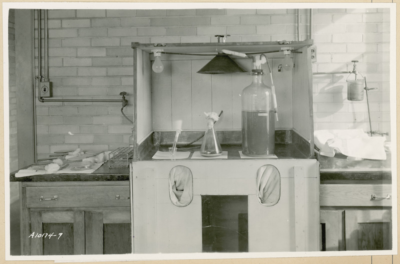 A test tube in a beaker, a flask, and a large bottle filled with liquid are sitting on a partially enclosed lab work area. Petri dishes and a rack are on the counter to the left.