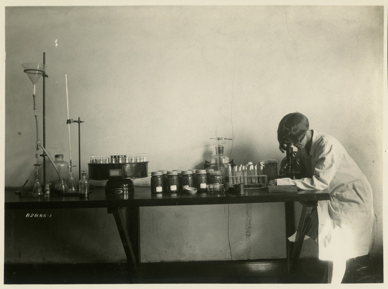 A woman, possibly a scientist, can be seen looking down a microscope. Scientific containers and jarred foods can also be seen.