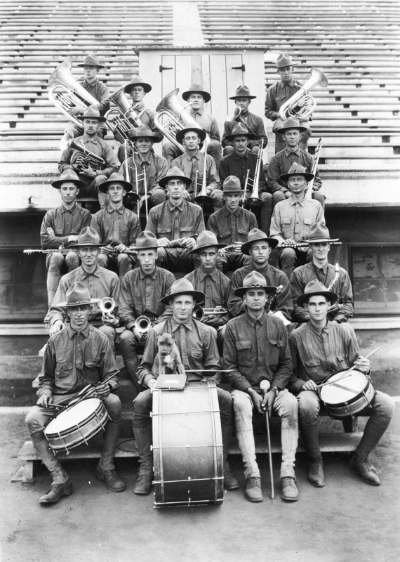 A military band posing for a formal picture with a dog. The band is seated on a section of bleachers, with large instruments at the rear top and drums at the bottom front. The dog is standing on the base drum.