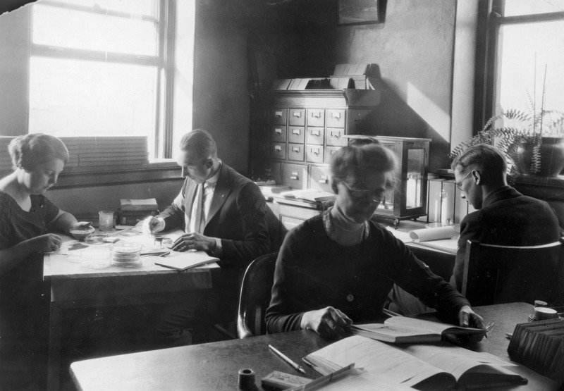 Miss Harriet Kellogg (left), curator of the Herbarium and Botanical Library and Miss Charlotte M. King (center), Assistant Professor, Artist, and Seed Analyst are working in this office. The men are not identified.