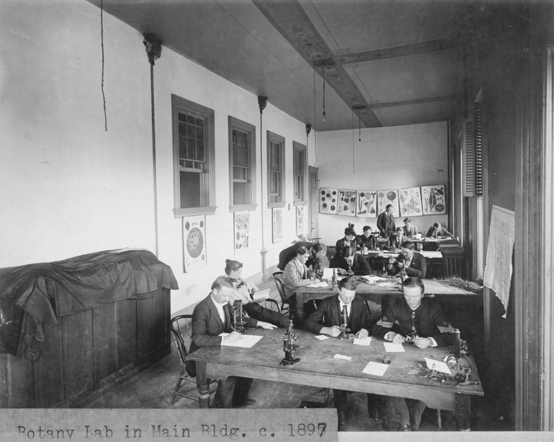 Students are examining plant specimens with microscopes in the Botany Lab located in part of the old chapel of the Main Building (Old Main). Professor Pammel is bending over looking through a microscope in the center of the photograph. There is a map and posters showing the anatomy of plants hanging on the walls.