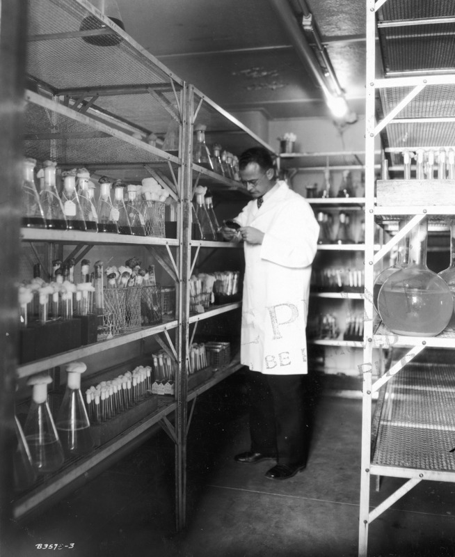 A researcher in a lab coat is holding a specimen in the Bacteriology Laboratory. The shelves are filled with glass test tubes and flasks containing specimens.