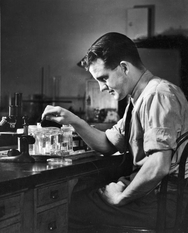 A student is using tweezers to retrieve a microscopic slide that has been soaking in a liquid filled glass.