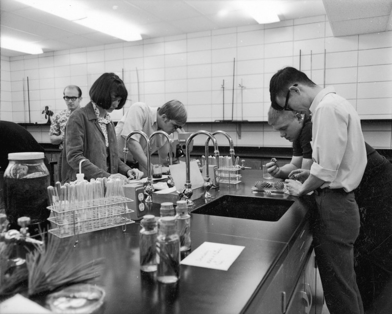 Botany students are working on experiments at a lab table in Bessey Hall.