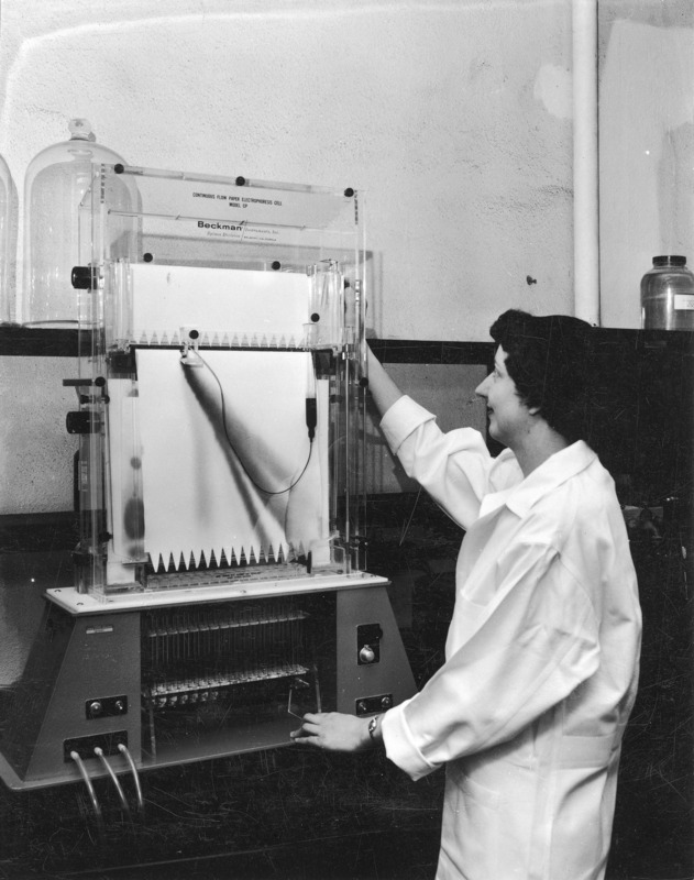 Evelyn Weber working on separation of biological compounds by electrochromatography. Wearing a white lab coat, she is standing in front of a Beckman Continuous Flow Electrophoresis Cell which is producing a graph.