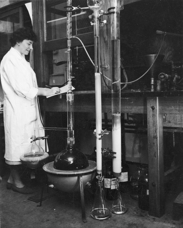 A female technician in a white lab coat recording the results of an experiment in organic chemistry. She is monitoring an apparatus used to separate natural products from plant material. The instrument consists of large glass tubes, beakers, and possibly a heat source.