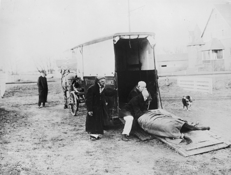 A horse drawn veterinary ambulance delivering an injured horse to the veterinary clinic. Four people in winter coats are pictured, three of whom are attending to the blanketed recumbent horse. A dog is also pictured.