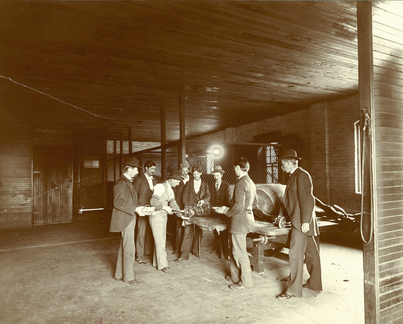 A veterinary class with an instructor and seven observers carrying out a procedure on the nose of a recumbent horse. The activity is in a large indoor space.