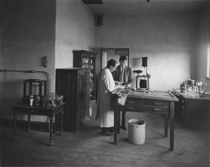 A veterinary education setting in Room 213 of the Veterinary Quadrangle, wherein a professor is demonstrating suturing to a student. The instructor is wearing a white lab coat; the student is dressed in a suit.