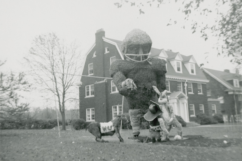 A large football player towers over three smaller figures of a rabbit type animal and a western cowboy leading a mule or horse. The mule/horse is labeled, "KU.".