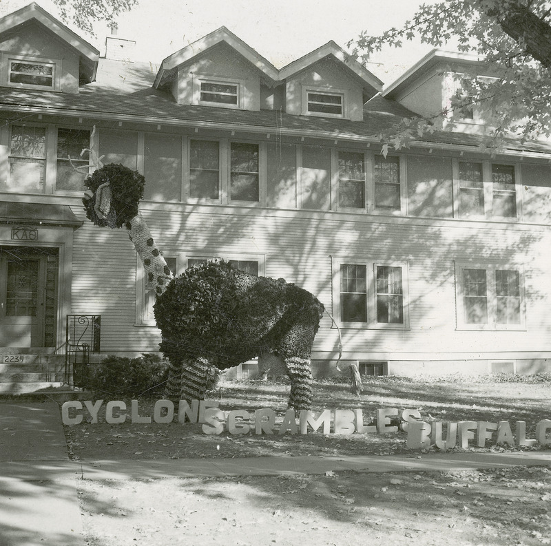 A representation of a buffalo minus the face stands before the Kappa Kappa Theta house. The sign in front of the figure reads, "Cyclone scrambles buffalo.".