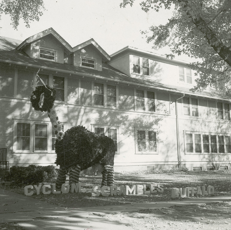 A representation of a buffalo minus the face stands before the Kappa Kappa Theta house. The sign in front of the figure reads, "Cyclone scrambles buffalo." This lawn display won first place in the Sorority Division.